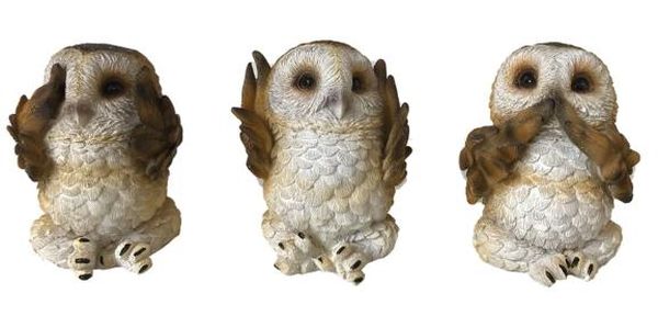 Three Wise Brown Owls